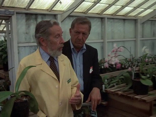 Quincy, M.E. - S5E1: No Way to Treat a Flower