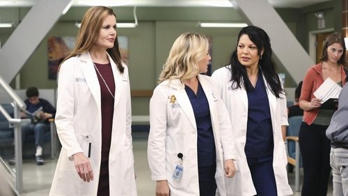 Grey's Anatomy - S11E1: I Must Have Lost It on the Wind