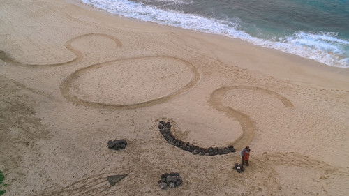 Lost - S2E19: S.O.S.