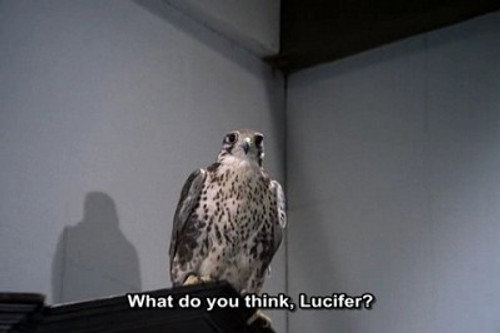 Mission: Impossible - S4E14: The Falcon (1)