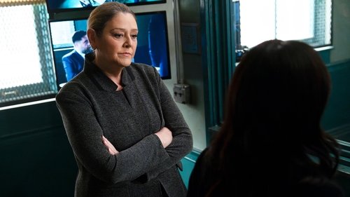 Law & Order - S23E8: Facade