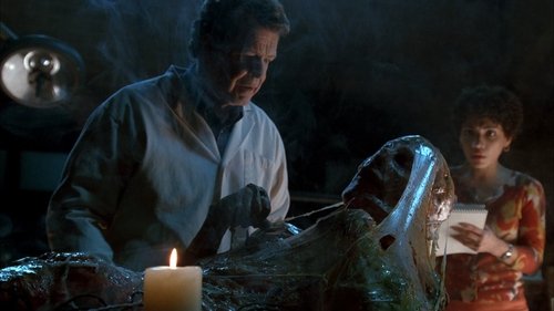 Fringe - S2E19: The Man From The Other Side