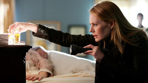 CSI: Crime Scene Investigation - S8E15: The Theory of Everything