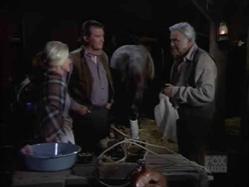 Bonanza - S13E17: The Saddle Stiff