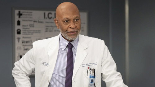 Grey's Anatomy - S22E13: Love the Way You Lie