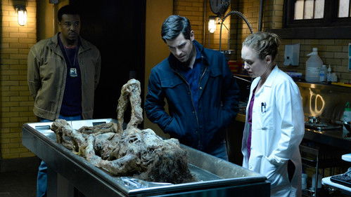 Grimm - S6E5: The Seven Year Itch