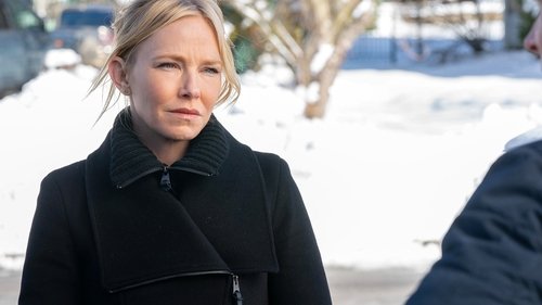 Law & Order: Special Victims Unit - S22E10: Welcome to the Pedo Motel