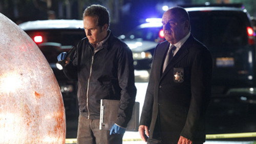 CSI: Crime Scene Investigation - S14E8: Helpless