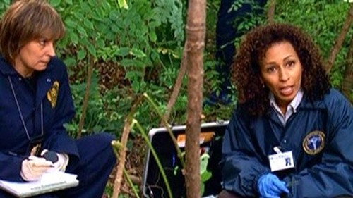 Law & Order: Special Victims Unit - S9E12: Signature