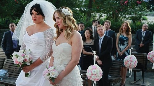 Grey's Anatomy - S7E20: White Wedding