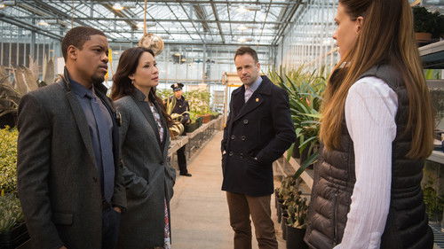 Elementary - S3E23: Absconded