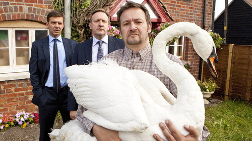 Midsomer Murders - S14E8: A Rare Bird