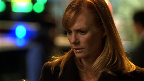 CSI: Crime Scene Investigation - S7E8: Happenstance