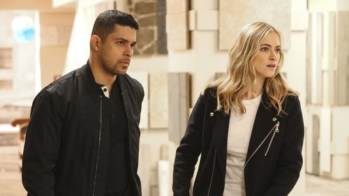 NCIS - S14E19: The Wall