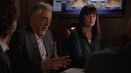 Criminal Minds - S15E8: Family Tree