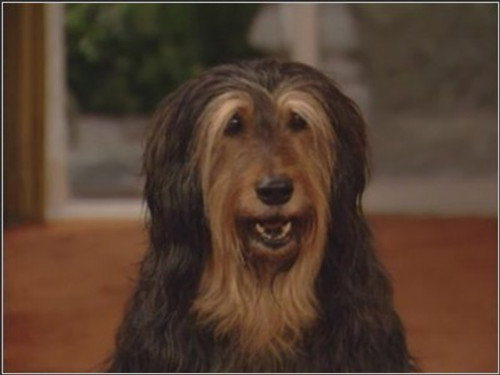 Married... with Children - S9E17: 25 Years and What Do You Get?
