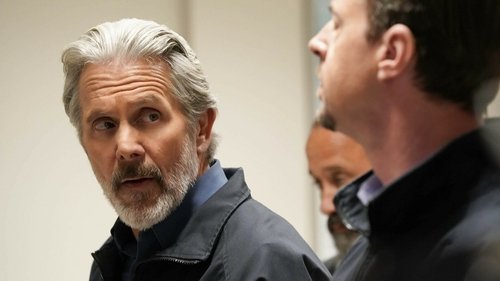 NCIS - S22E5: In from the Cold