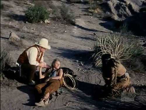 Bonanza - S10E18: Erin