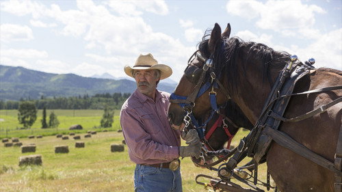 Heartland - S7E5: Thread the Needle