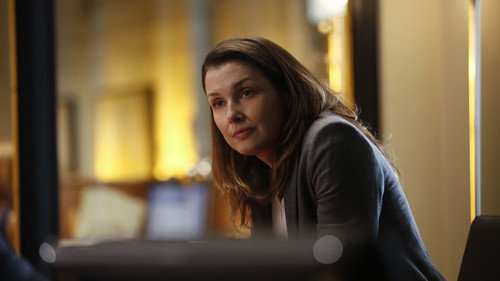 Blue Bloods - S6E4: With Friends Like These