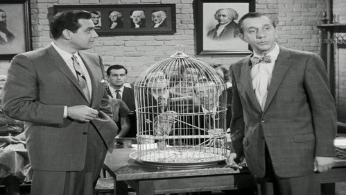 Perry Mason - S2E11: The Case of the Perjured Parrot