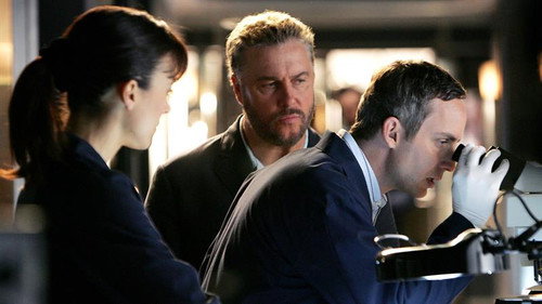 CSI: Crime Scene Investigation - S8E13: A Thousand Days on Earth
