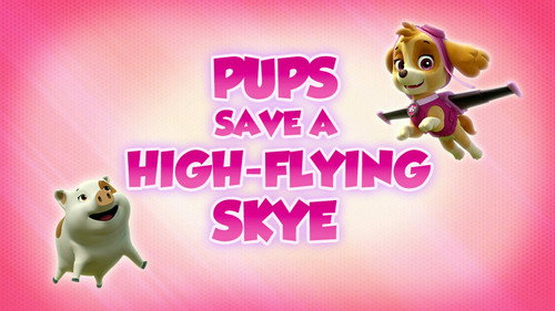 PAW Patrol - S5E9: Pups Save a High-Flying Skye