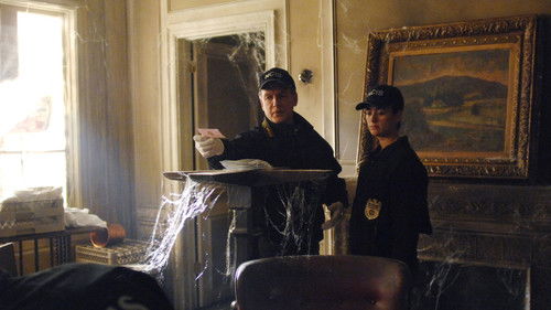 NCIS - S4E15: Friends and Lovers