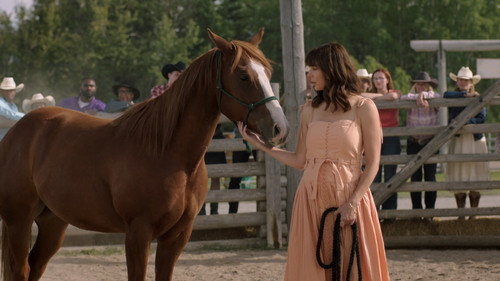 Heartland - S18E10: Open House