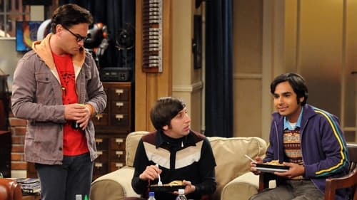The Big Bang Theory - S5E8: The Isolation Permutation