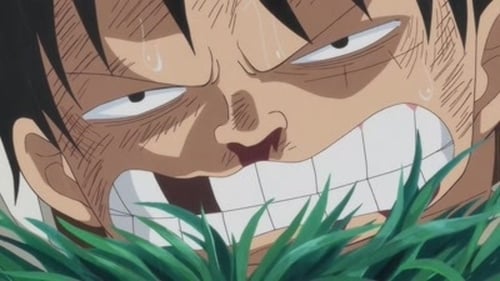 One Piece - S19E811: I'll Wait Here! Luffy vs. the Enraged Army!