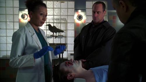 Law & Order: Special Victims Unit - S8E17: Sin