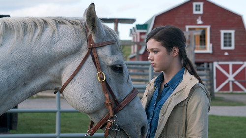 Heartland - S9E12: The Real Deal