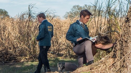 True Detective - S1E1: The Long Bright Dark