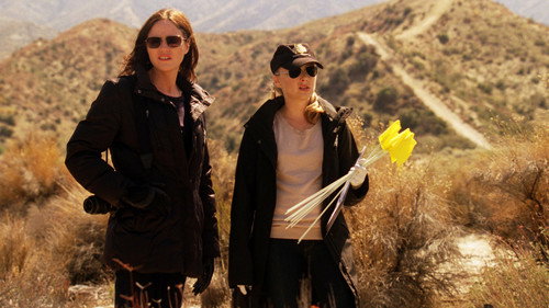 CSI: Crime Scene Investigation - S12E21: Dune and Gloom