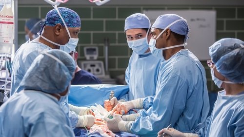 Grey's Anatomy - S12E13: All Eyez on Me
