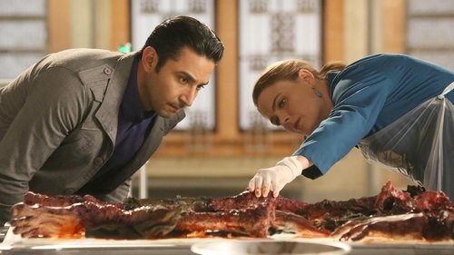 Bones - S11E10: The Doom in the Boom