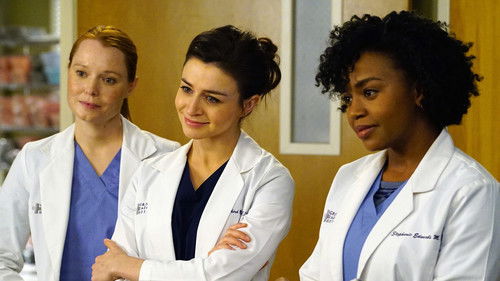 Grey's Anatomy - S12E17: I Wear the Face