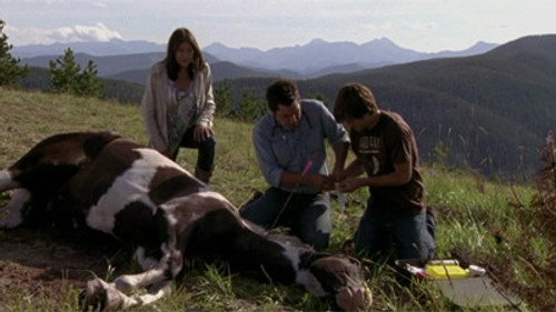 Heartland - S3E9: Broken Arrow