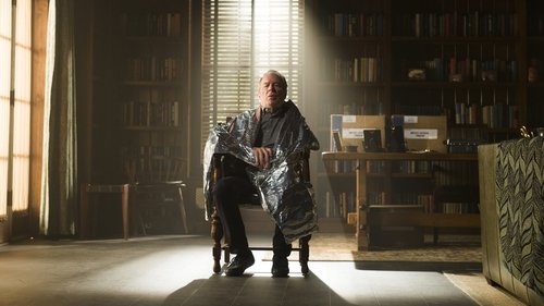 Better Call Saul - S2E9: Nailed