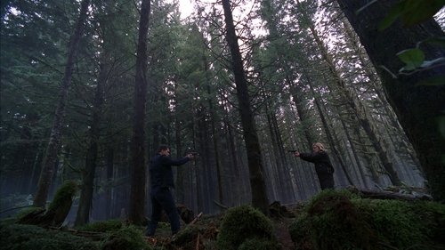 Fringe - S2E21: Northwest Passage