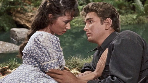 Bonanza - S1E11: The Truckee Strip