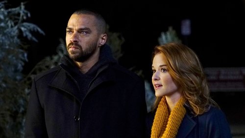 Grey's Anatomy - S13E16: Who Is He (And What Is He to You)?