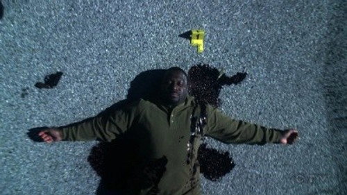 CSI: Crime Scene Investigation - S9E17: No Way Out