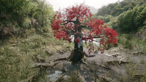 Strange Tales of Tang Dynasty - S1E26: Tuo God (5)