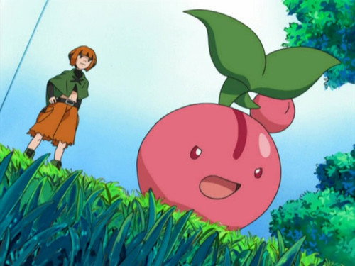 Pokémon - S10E37: The Grass Menagerie!