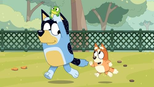 Bluey - S3E30: Turtleboy