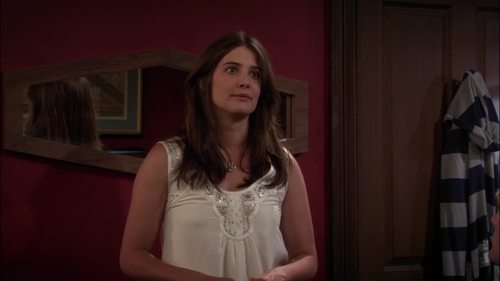 How I Met Your Mother - S5E1: Definitions