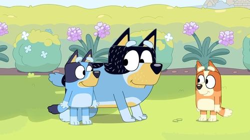 Bluey - S3E12: Sheep Dog