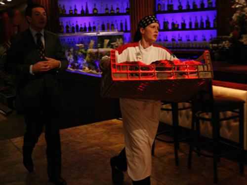 Hell's Kitchen - S4E2: 14 Chefs Compete